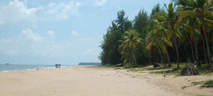 ที่ดินประจวบ